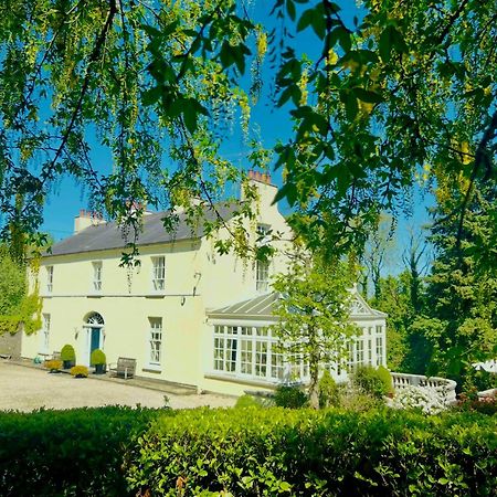 Larchmount House B&B 伦敦德里 外观 照片